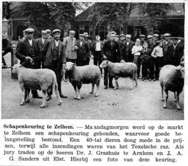 1930 ca. schapenkeuring oudzelhem 
