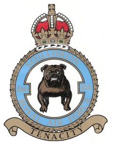 166 squadron logo