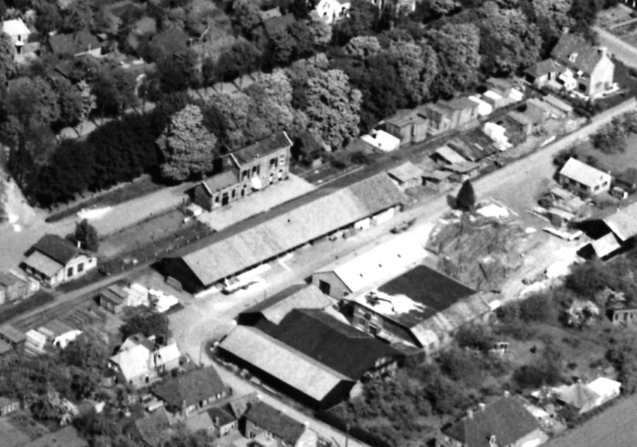 1951 Oldenboom terrein