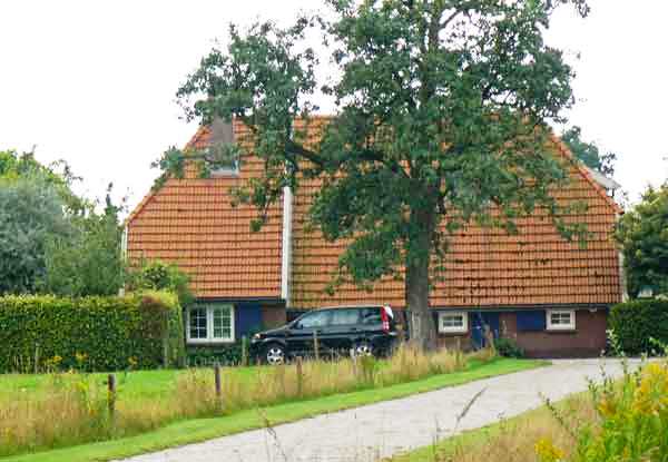 meuweg3 1