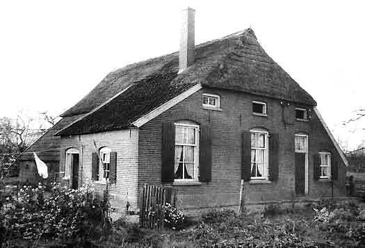 neuzendijk10