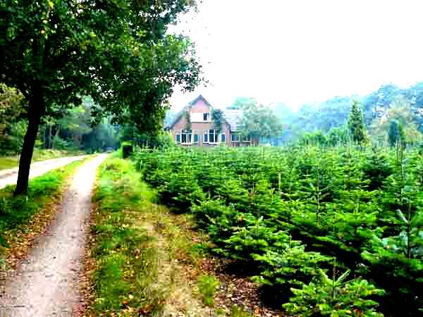 ruurloseweg oude03 1