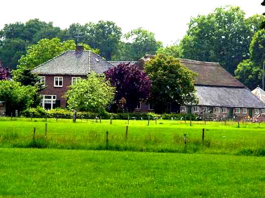 hemink boerderij6