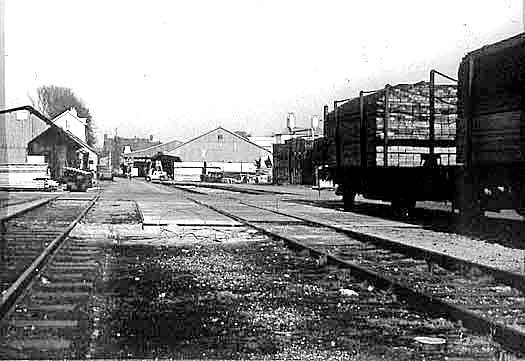 oldenboom transport 1