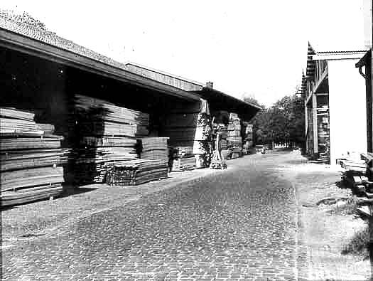 oldenboom transport 1