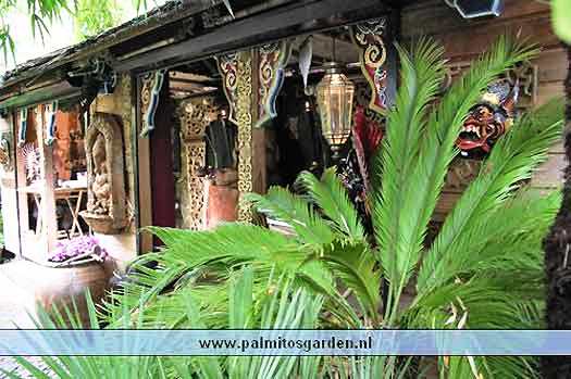Palmolitos garden